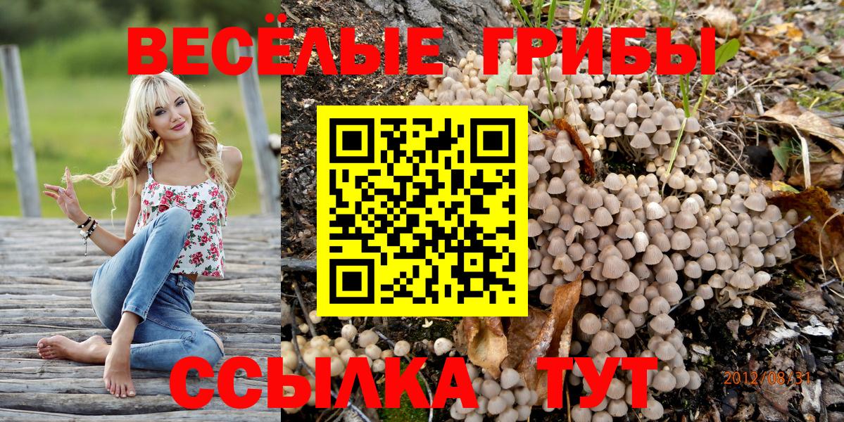 Сорочинск  Псилоцибиновые грибы мицелий  магазин    Псилоцибиновые грибы Psilocybe  Вход с VPN 