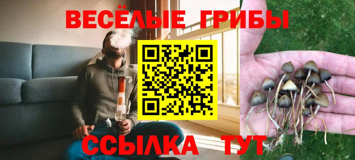 Псилоцибиновые грибы мицелий Сорочинск